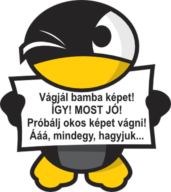 Vágjál bamba képet!