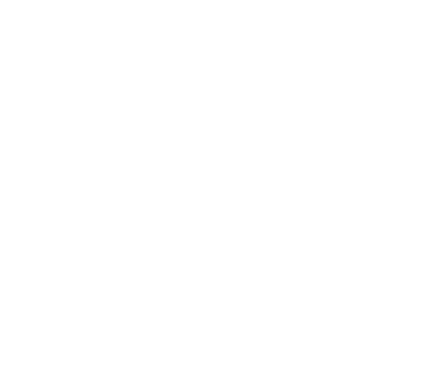 nehanyan_nevemen_1255