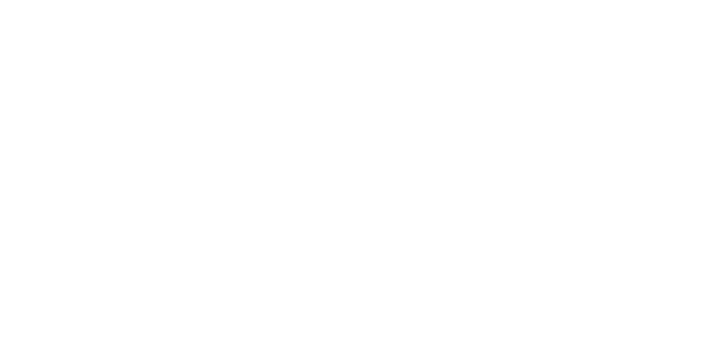 Metal Evolution