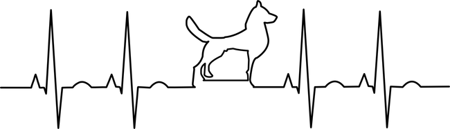 Kutyás ekg vonal