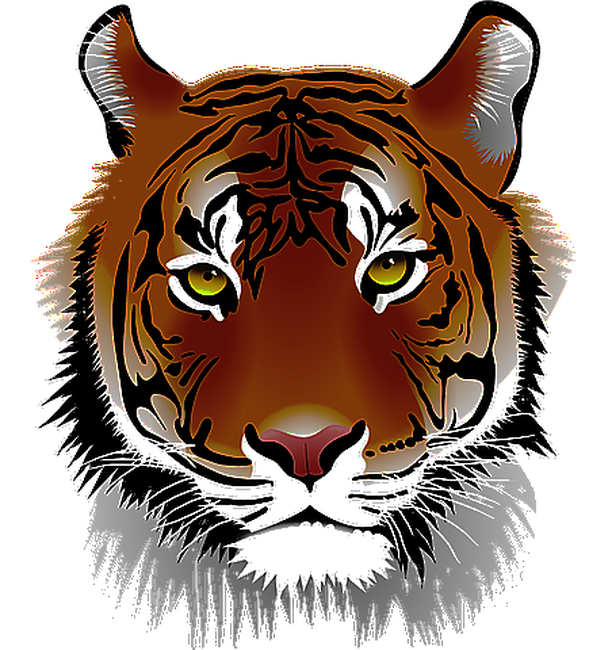 Tigris pólóminta