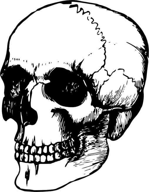 Koponya minta 