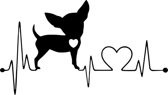Csivava szerelem - ekg