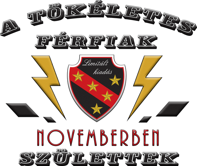Tökéletes férfi november