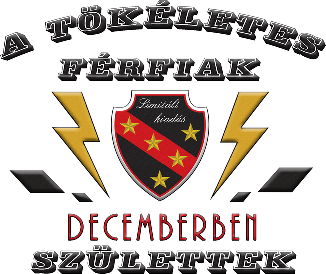 Tökéletes férfi december