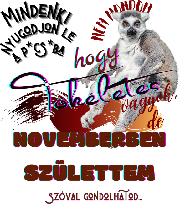 NOVEMBERBEN SZÜLETTEM