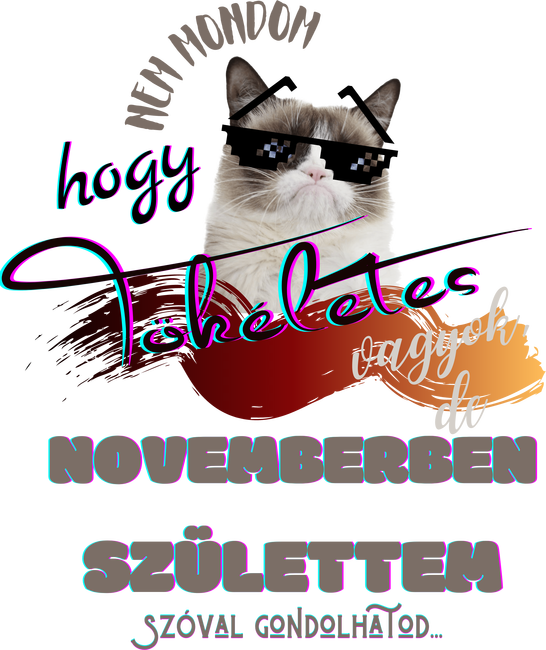 NOVEMBERBEN SZÜLETTEM