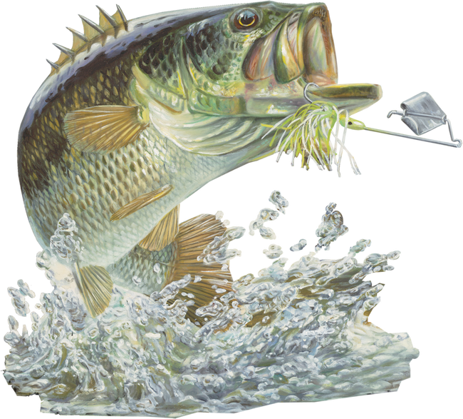 fishing
