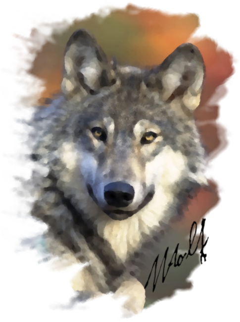 wolf