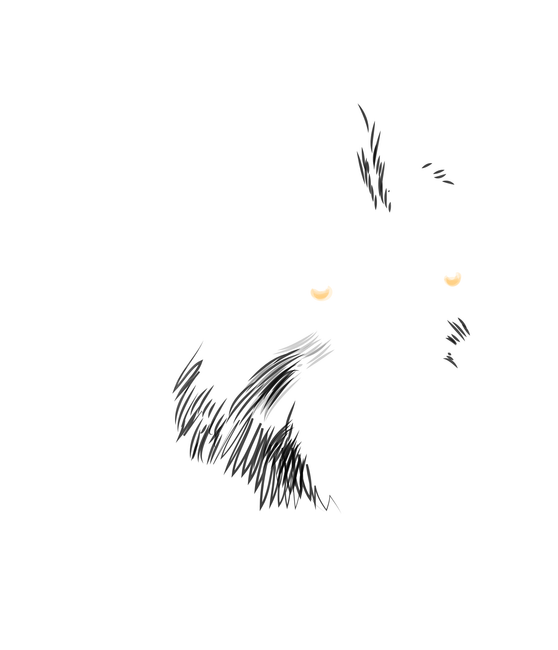 Farkas portré