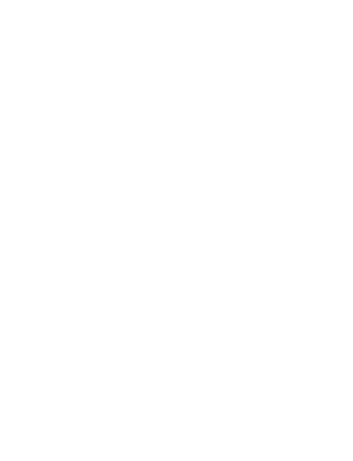 Schnauzer fej