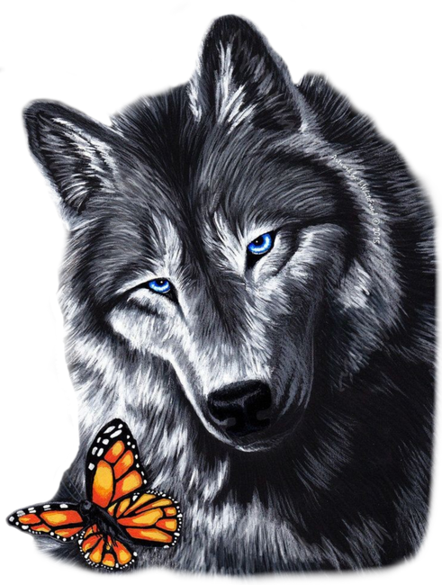 Wolf and butterfly