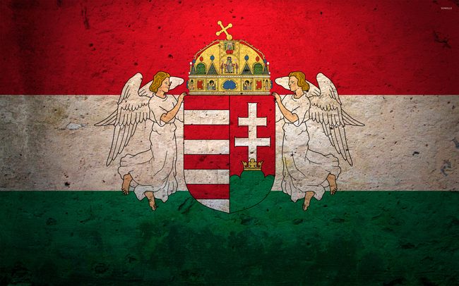 magyar zázsló címerrel szájmaszk