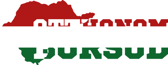 Otthonom Borsod