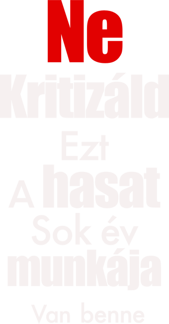 Ne kritizáld a hasam2