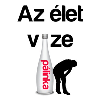 Az élet vize