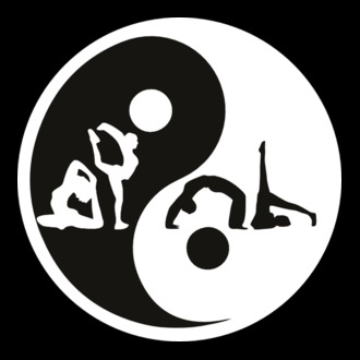 Jóga jin-jang
