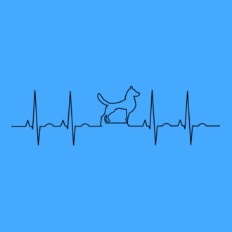 Kutyás ekg vonal