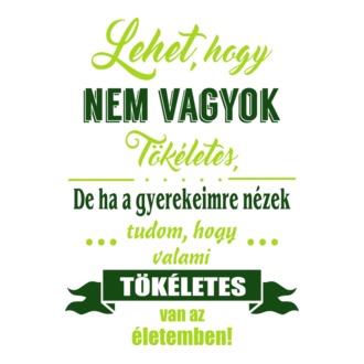 Nem vagyok tökéletes...