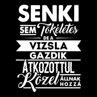 Senki sem tökéletes Vizsla