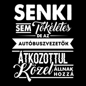 Senki sem tökéletes...autóbuszvezető