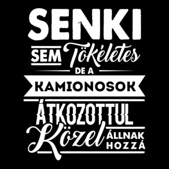 Senki sem tökéletes...kamionosok