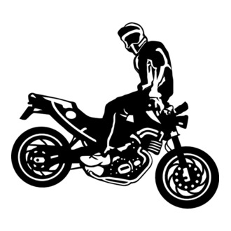Stunt rider