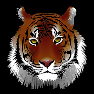 Tigris pólóminta