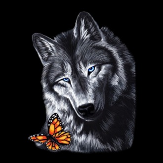 Wolf and butterfly