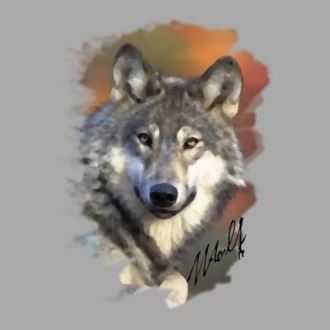 wolf